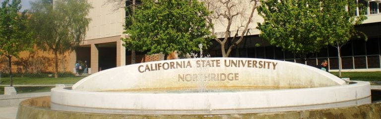 California State University Banner 1