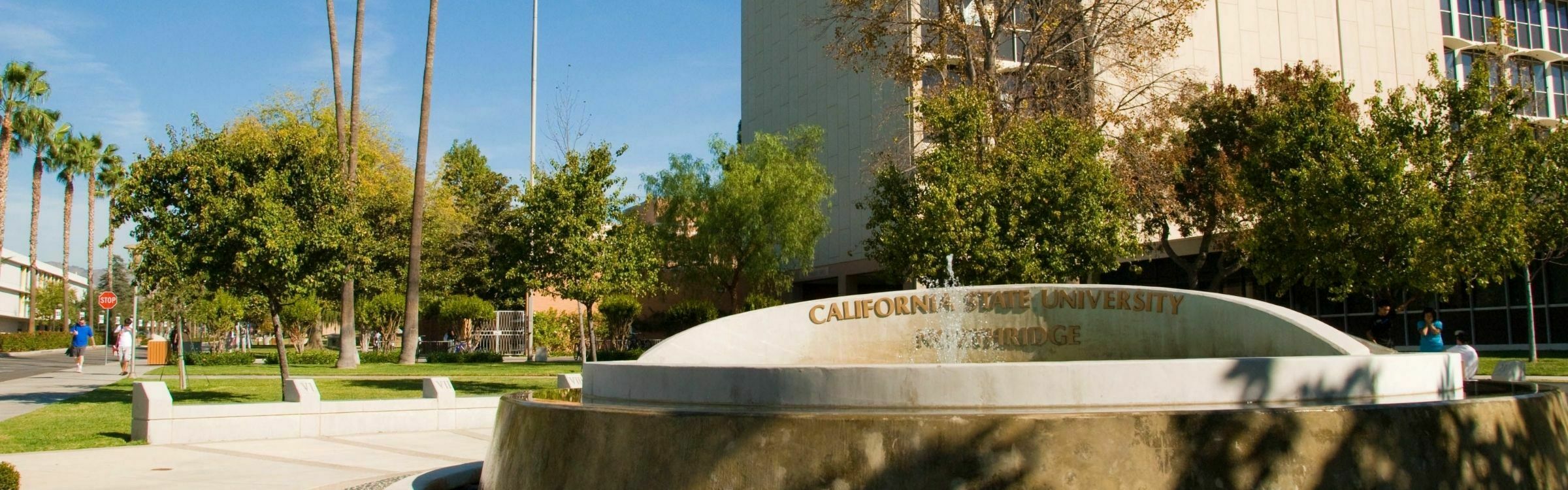 California State University Banner 2